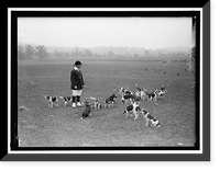NATIONAL BEAGLE CLUB OF AMERICA. KENNELS AND DOGS OF J.B. THOMAS - 4, Vintage Poster