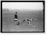 NATIONAL BEAGLE CLUB OF AMERICA. KENNELS AND DOGS OF J.B. THOMAS - 4, Vintage Poster