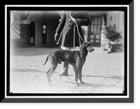 NATIONAL BEAGLE CLUB OF AMERICA. KENNELS AND DOGS OF J.B. THOMAS - 15 Classic, Vintage Print