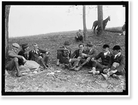 NATIONAL BEAGLE CLUB OF AMERICA. H. WHITEHOUSE; MISS FARGO; CHALMERS WOOD, JR.; ARTHUR SCOTT BURDEN; J.C. COOLEY; W.F. WHITEHOUSE; G.B. POST; J.W. APPLETON, Antique Print