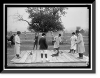 NATIONAL BEAGLE CLUB OF AMERICA. JUDGING DOGS. RAYMOND BELMONT AT EXTREME LEFT AND A.S. BURDEN, EXTREME RIGHT, Antique Print