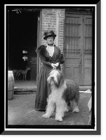 PATTEN, MISS MARY E. DOG SHOW, Historic Print