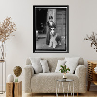 PATTEN, MISS MARY E. DOG SHOW, Historic Print