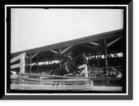 Historic Framed Print, HORSE SHOWS. MISS DOROTHY DAVIS ON 'DELIGHT',  17-7/8" x 21-7/8"