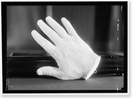 PLASTER CAST OF HAND OF BRYAN, WILLIAM JENNINGS. REP. FROM NEBRASKA, 1891-1895; SECRETARY OF STATE, 1913-1915, Antique Wall Art