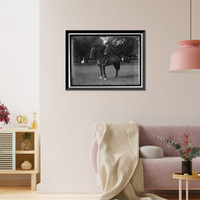 Historic Framed Print, MILES, NELSON APPLETON. LT. GEN., U.S.A. G.A.R. PARADE,  17-7/8" x 21-7/8"