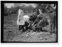 NATIONAL EMERGENCY WAR GARDENS COM. GIRL SCOUTS GARDENING AT D.A.R. - 2, Vintage Print