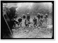 NATIONAL EMERGENCY WAR GARDENS COM. GIRL SCOUTS GARDENING AT D.A.R. - 3, Vintage Wall Art