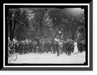 WOMAN SUFFRAGE - 9, Historic Print