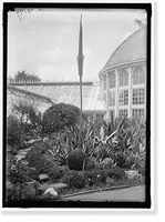 Historic Framed Print, BOTANICAL GARDENS - 2,  17-7/8" x 21-7/8"