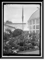 Historic Framed Print, BOTANICAL GARDENS - 2,  17-7/8" x 21-7/8"
