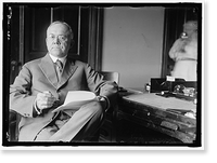 POWELL, G. HAROLD, CHIEF, PERISHABLE COMMODITIES DIV., U.S. FOOD ADMINISTRATION - 2 Classic, Vintage Print
