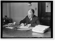 WOOLLEY, ROBERT W. COMMISSIONER, I.C.C.; DIRECTOR OF MINT; DIRECTOR OF PUBLICITY, 1ST LIBERTY LOAN, Historic Print