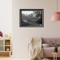 Historic Framed Print, DISTRICT OF COLUMBIA PARKS. CUTTING TREES ON MALL SITES FOR WAR BUILDINGS - 2,  17-7/8" x 21-7/8"