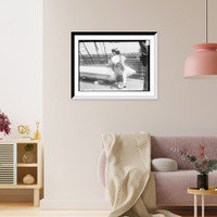 Historic Framed Print, Mary Garden - 2,  17-7/8" x 21-7/8"