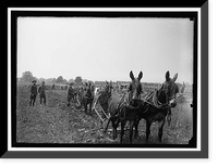 Historic Framed Print, CAMP DIX #2. MISC. VIEWS - 2,  17-7/8" x 21-7/8"