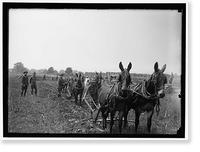 Historic Framed Print, CAMP DIX #2. MISC. VIEWS - 2,  17-7/8" x 21-7/8"