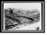 NATIONAL EMERGENCY WAR GARDENS COM. WAR GARDENS - 15 Classic, Vintage Poster