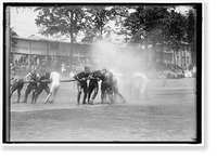 Historic Framed Print, FOURTH OF JULY. SCENES IN CELEBRATION AT WALTER REED - 6,  17-7/8" x 21-7/8"