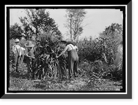 NATIONAL EMERGENCY WAR GARDENS COM. GIRL SCOUTS AND OTHERS - 11 Classic, Antique Print