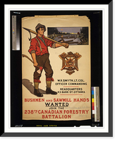 Vintage Poster Art - Bushmen and sawmill hands wanted
