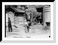 Historic Framed Print, Snyder and Hattie in Central Park. Snyder is in front of the elephant.,  17-7/8" x 21-7/8"