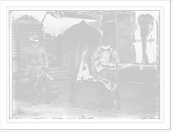 Historic Framed Print, Manicuring elephants, Central Park - 4,  17-7/8" x 21-7/8"