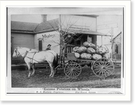 Kansas potatoes on wheels, Antique Wall Art