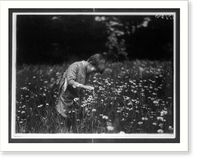 Historic Framed Print, Quentin Roosevelt looking for June bugs, Sagamore Hill,  17-7/8" x 21-7/8"