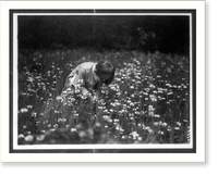 Historic Framed Print, Quentin Roosevelt in a field looking for June bugs, Sagamore Hill,  17-7/8" x 21-7/8"