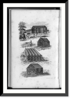 Tobacco processing; curing, storing, barreling and selling, Antique Poster