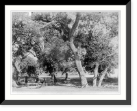Fort Clark, Tex., ca. 188-: 3 Mexicans on horses & burro - officer standing, Antique Wall Art