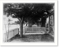 Fort Clark, Tex., ca. 188-: Officers' line, Fort Clark, Tex."" Classic, Antique Wall Art