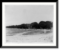 Fort Clark, Tex., ca. 188-: Officers' Line"", Antique Print