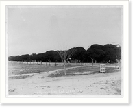 Fort Clark, Tex., ca. 188-: Officers' Line"", Antique Print