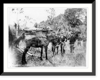 Historic Framed Print, [Patient, U.S. soldier, being carried on mule litter invented by Dr. Edgar Alexander Mearns in the Philippine Islands],  17-7/8" x 21-7/8"