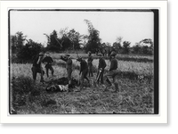 Historic Framed Print, [Philippine insurrection]: Burial of the enemy,  17-7/8" x 21-7/8"