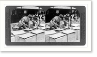 Packing tea for shipment to the United States, Japan Classic, Historic Print