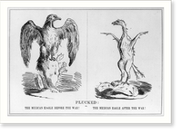 Plucked or, The Mexican eagle before the war! The Mexican eagle after the war!, Antique Print