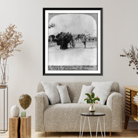 Caravan returning to Cairo from the desert pyramids, Antique Print