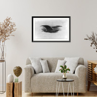 Historic Framed Print, The eagle and flag, emblem of America,  17-7/8" x 21-7/8"