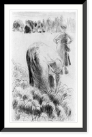 Femme cueillant les choux, Historic Print