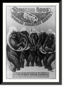 Ringling Bros. World's Greatest Shows. the Funny, Wonderful Elephant Brass Band, Historic Reproduction