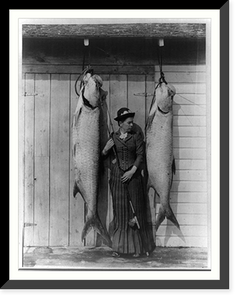 Tarpon caught by Mrs. Charles E. Allen of Glasgow, Scotland, at St. James City, Florida Classic, Historic Reproduction