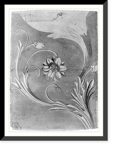 United States Capitol, Washington, D.C. Floral (magnolia) decorative relief Classic, Antique Print