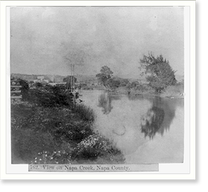 Antique Photo Print - View on Napa Creek, Napa County