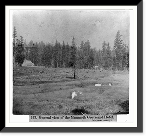 Antique Architecture - General View of the Mammoth Grove and Hotel