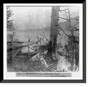 Vintage Railroad - Railroads & Depots - Study of Trees, etc