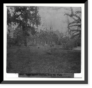 State Insane Asylum, from the Park, Stockton, San Joaquin County, Antique Print