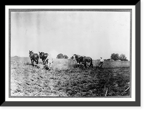 Plowing for wheat. Children are kept out of school for this work. Location: Hardin County. Long Grove vicinity, Kentucky..Lewis W. Hine, Vintage Wall Art